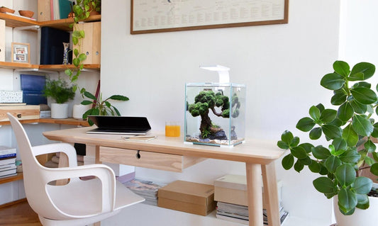 AQUAEL Day&Night Shrimp Set 10L LED Garnelenbecken Aquarium weiß 20x20x25cm