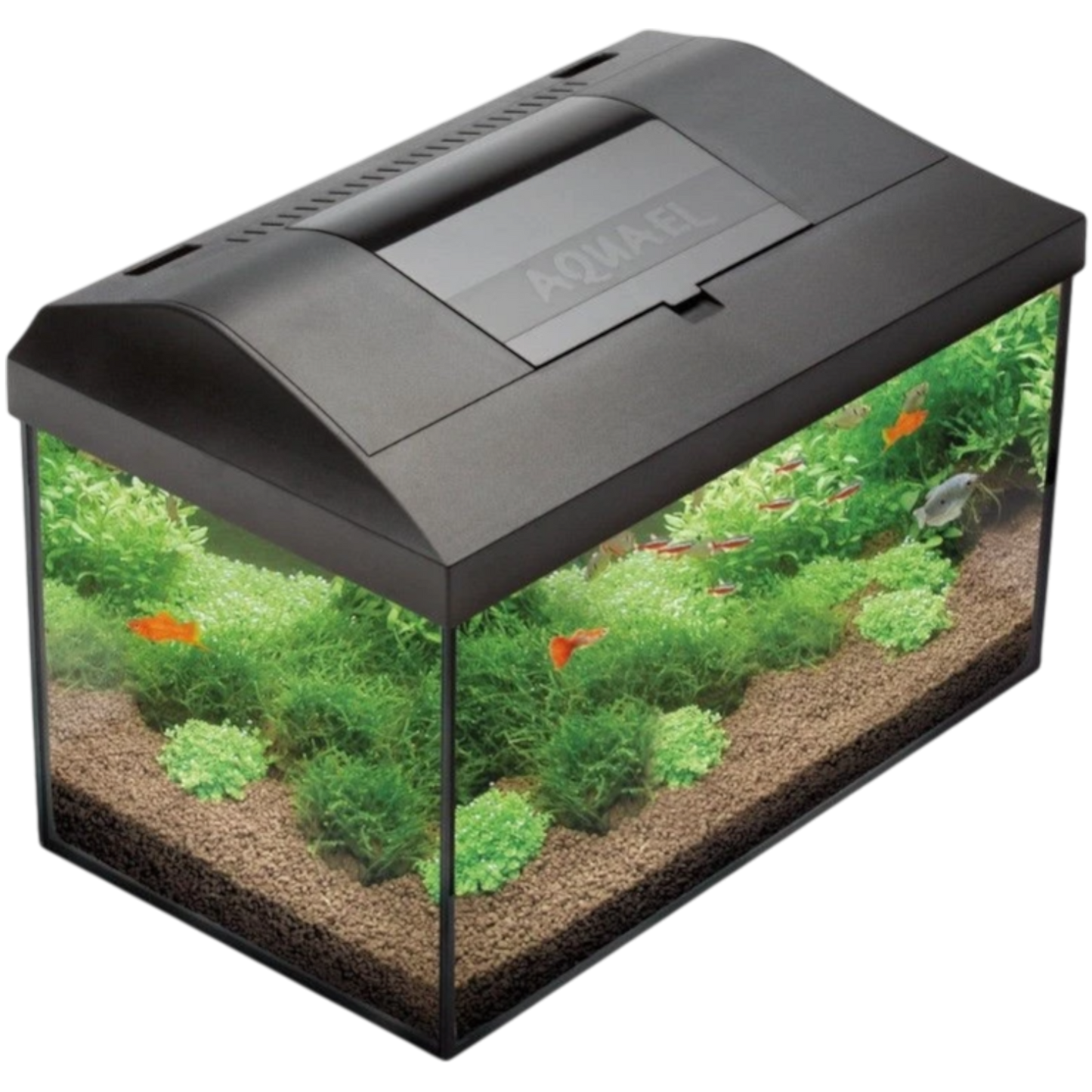 AQUAEL Aquarium komplett Set LEDDY 60 LED Beleuchtung Abdeckung Filter Heizer