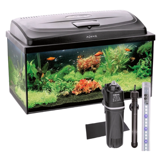 AQUAEL Aquarium AQUA4START 60/P D&N LED Beleuchtung Abdeckung LED Terrarium 54L