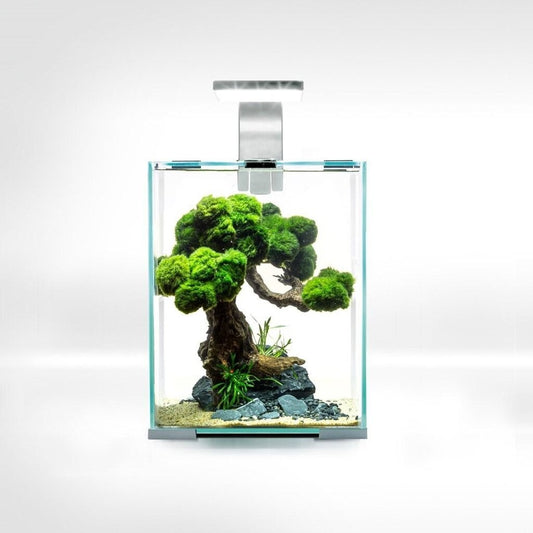 AQUAEL Day&Night Shrimp Set 10L LED Garnelenbecken Aquarium weiß 20x20x25cm