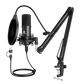 Mikrofon USB-C mit Mikrofonarm Für Laptop Computer Mac USB-A Kabel Schwarz
