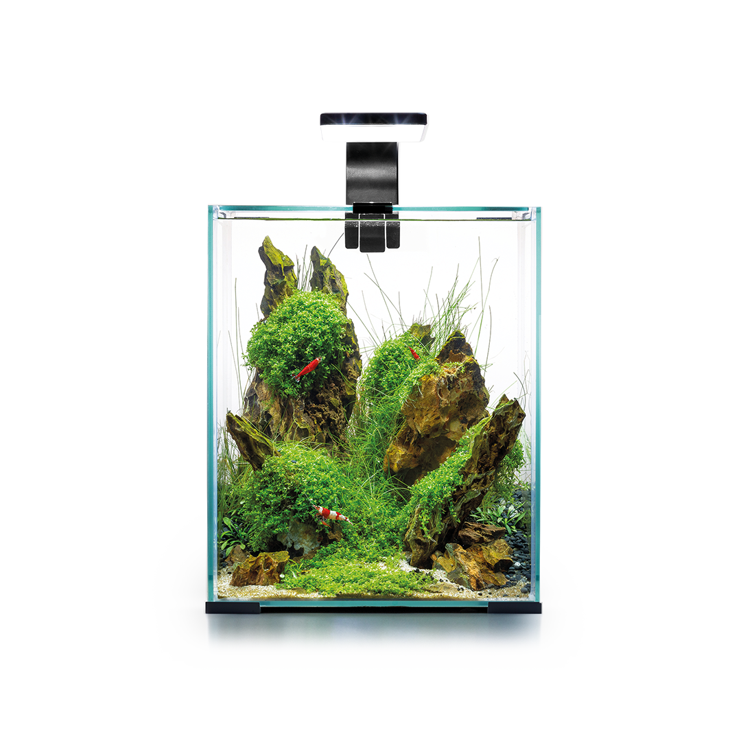 AQUAEL Shrimp Set LED 20 l Garnelenbecken Aquarium komplett Garnelen 25x25x30 cm