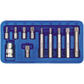 Vielzahn XZN 12-Kant Bit SPLINE Stecknuss Steckschlüssel M5 M6 M8 M10 M12 11tlg