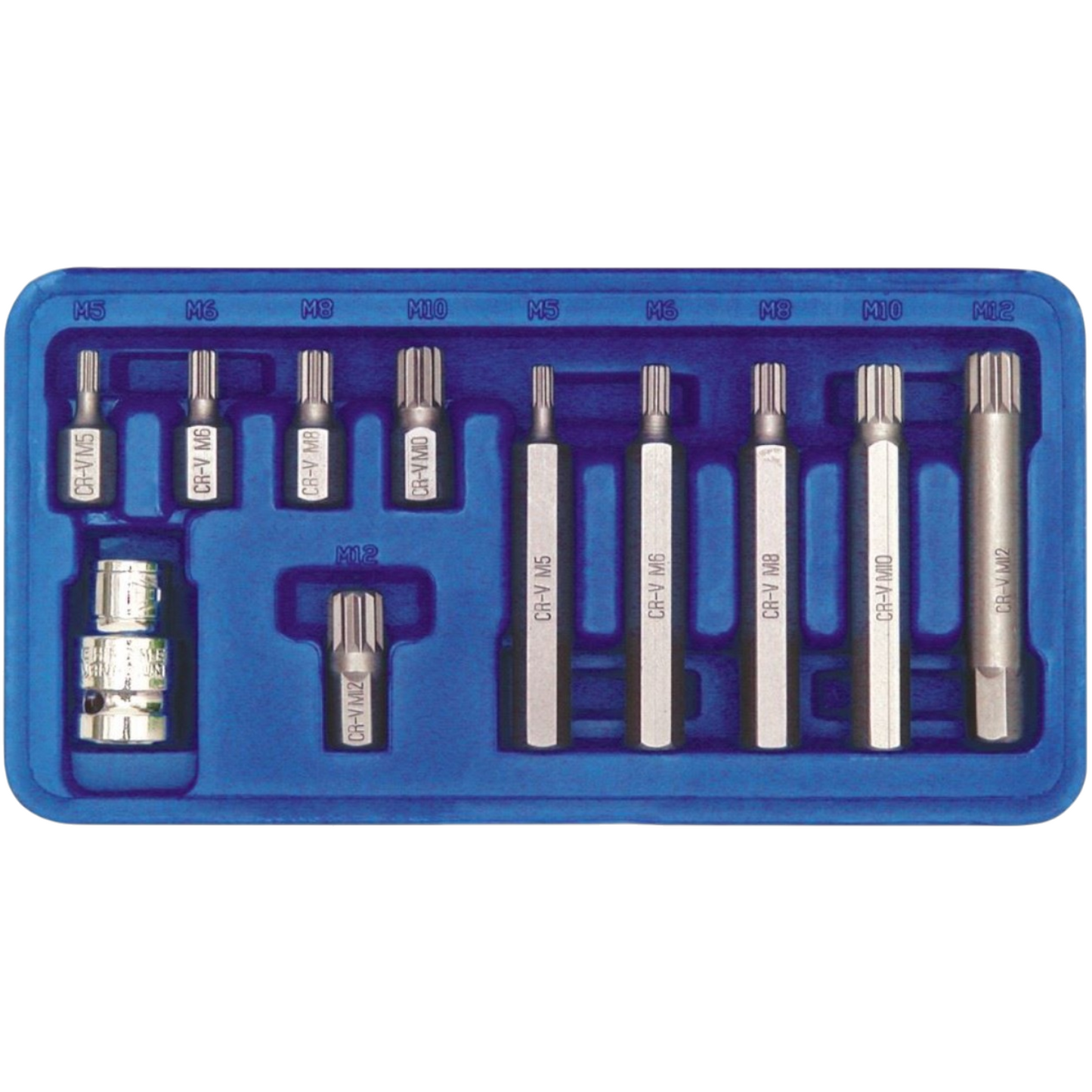 Vielzahn XZN 12-Kant Bit SPLINE Stecknuss Steckschlüssel M5 M6 M8 M10 M12 11tlg