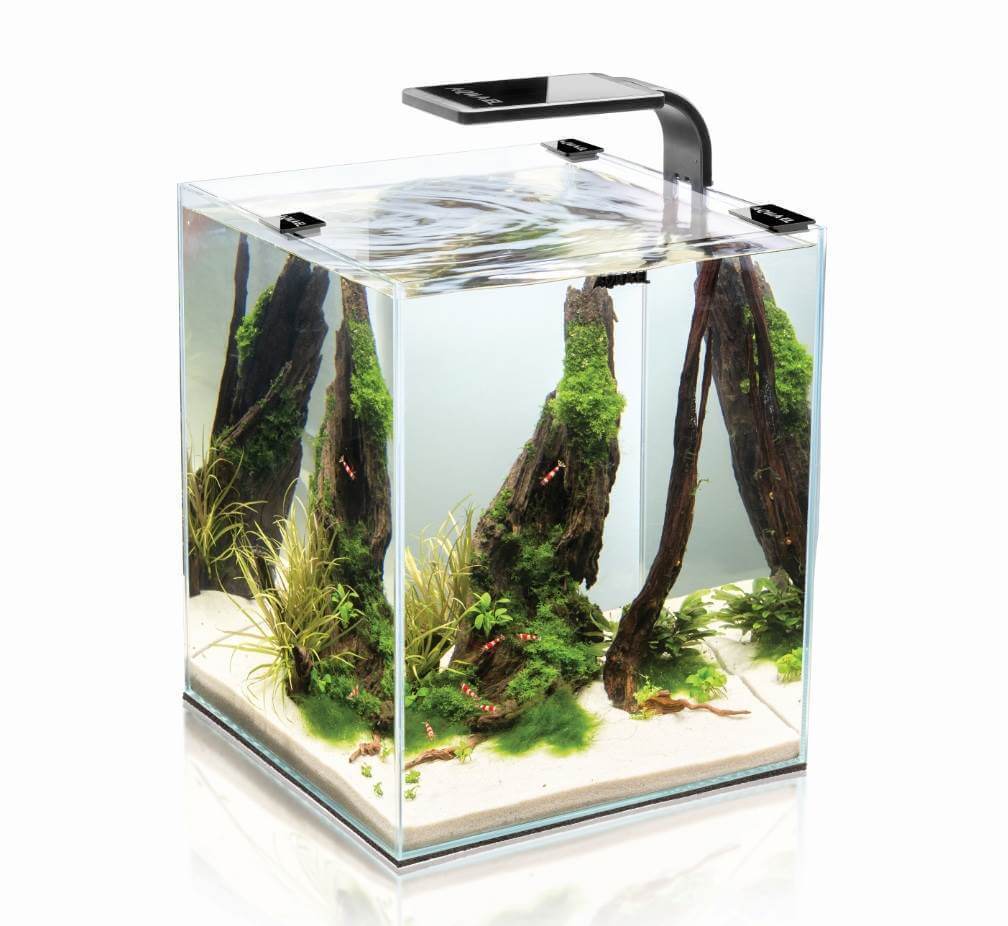 AQUAEL Shrimp Set 30L LED Garnelenbecken Aquarium komplett Garnelen 30x30x35 cm