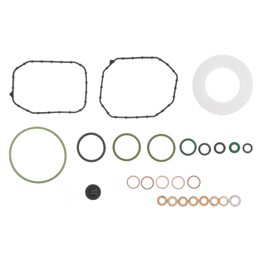 Bosch Dichtungssatz Einspritzpumpe Dieselpumpe für VW Golf 3 4 Passat 1.9 TDI