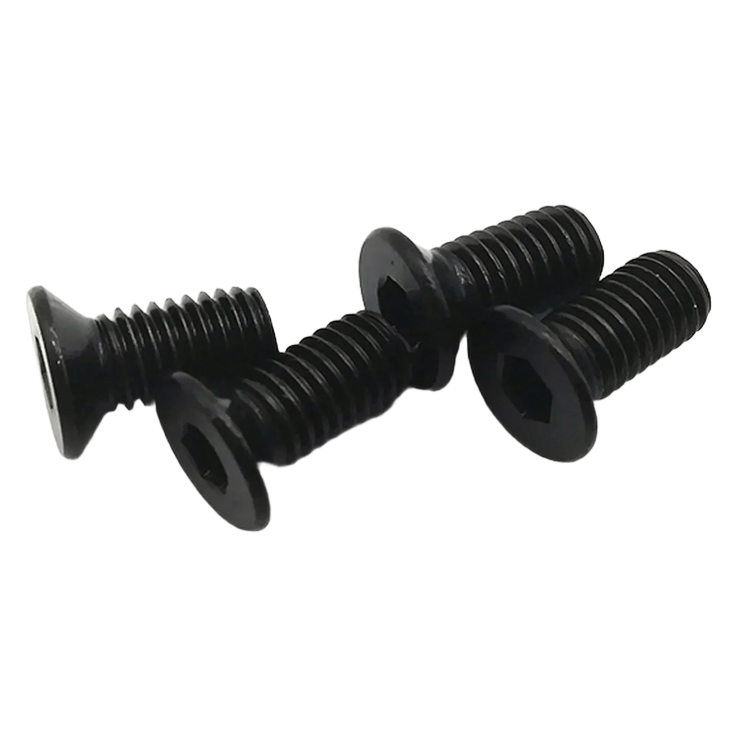Newest Products