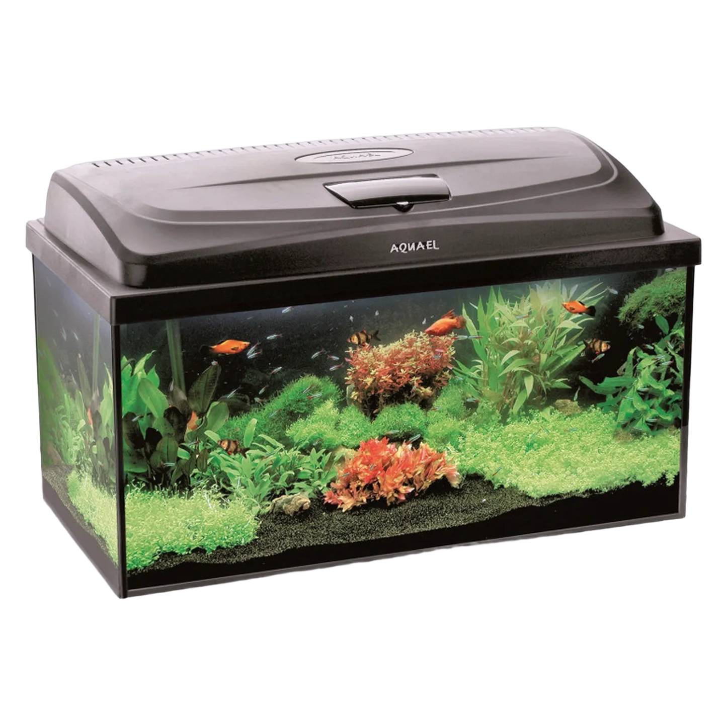 AQUAEL Aquarium Classic Box 60 LED Beleuchtung Abdeckung LED Terrarium 54L