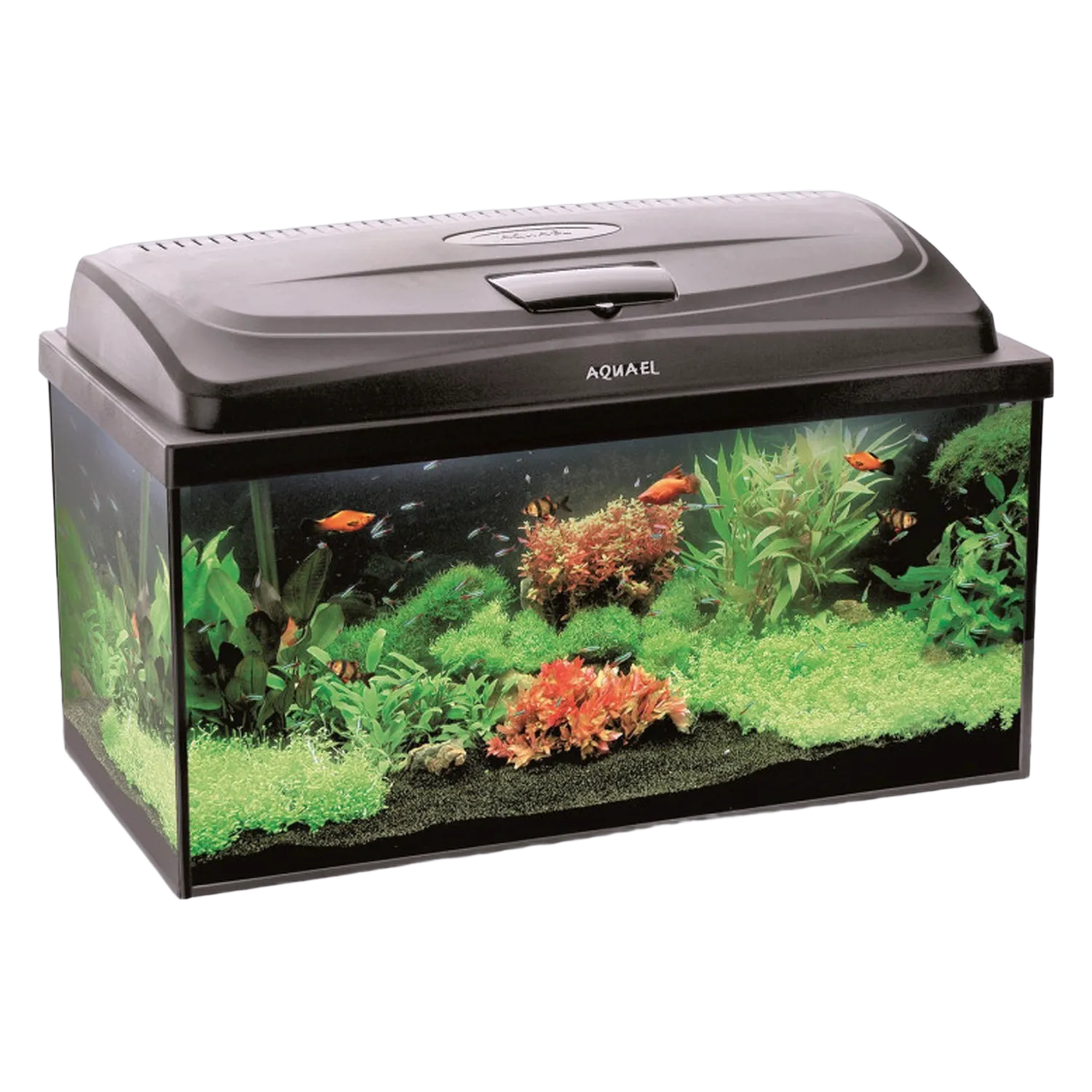 AQUAEL Aquarium Classic Box 60 LED Beleuchtung Abdeckung LED Terrarium 54L
