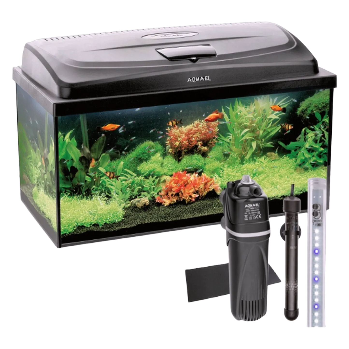 AQUAEL Aquarium AQUA4START 60/P D&N LED Beleuchtung Abdeckung LED Terrarium 54L