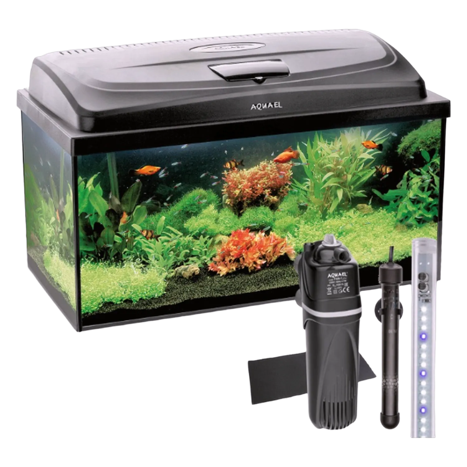 AQUAEL Aquarium AQUA4START 60/P D&N LED Beleuchtung Abdeckung LED Terrarium 54L