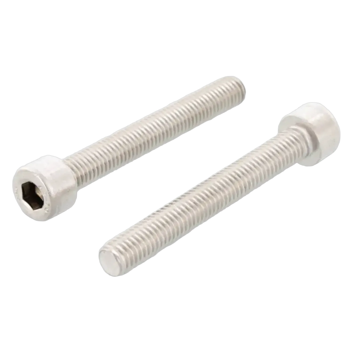 Newest Products