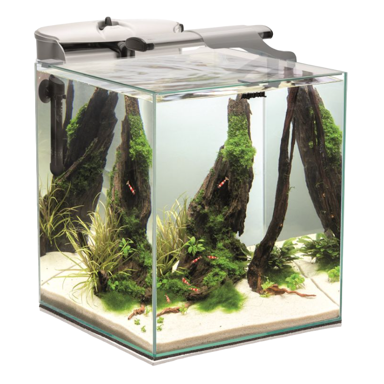 AQUAEL Shrimp Set Duo Glas Weiß LED Nano Aquariumset Sunny Plant 49 L 35x35x40cm