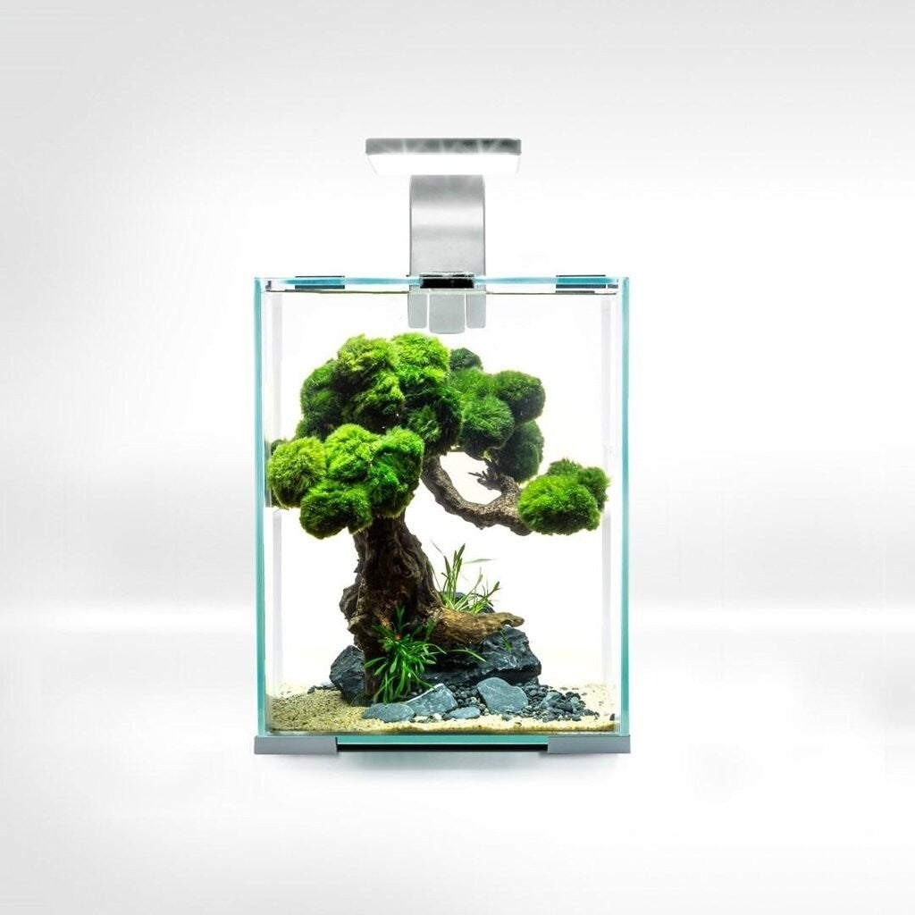 AQUAEL Day&Night Shrimp Set 10L LED Garnelenbecken Aquarium weiß 20x20x25cm