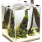 AQUAEL Day&Night Shrimp Set 10L LED Garnelenbecken Aquarium weiß 20x20x25cm