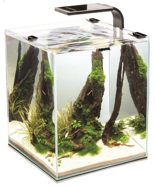 AQUAEL Day&Night Shrimp Set 10L LED Garnelenbecken Aquarium weiß 20x20x25cm