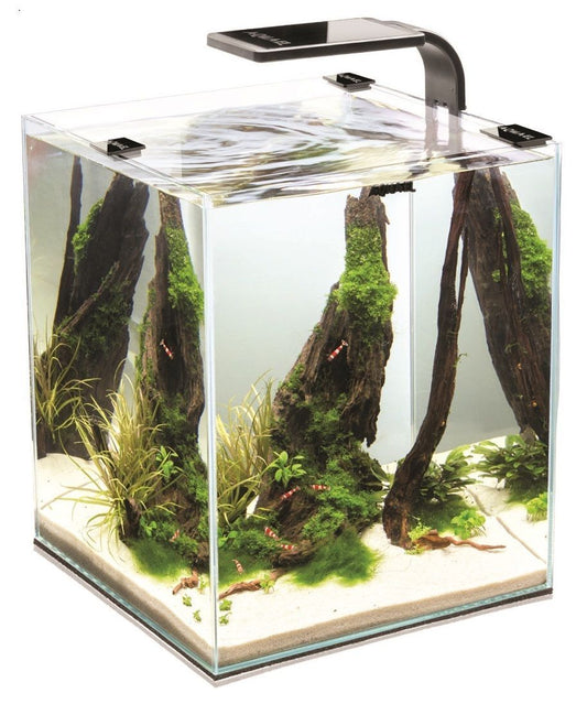 AQUAEL Shrimp Set LED 10 l Garnelenbecken Aquarium komplett Garnelen 20x20x25 cm schwarz