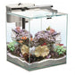 AQUAEL Nano Reef Glas Schwarz LED Salzwasser Meerwasserkomplettset 49l 35x35x40